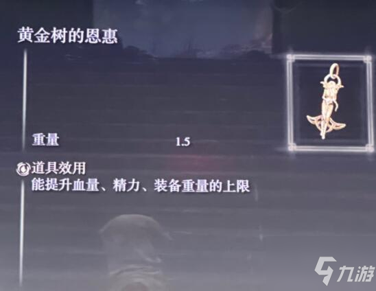 《艾尔登法环》观星者用什么装备