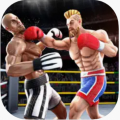 拳击游戏：3D拳击战加速器