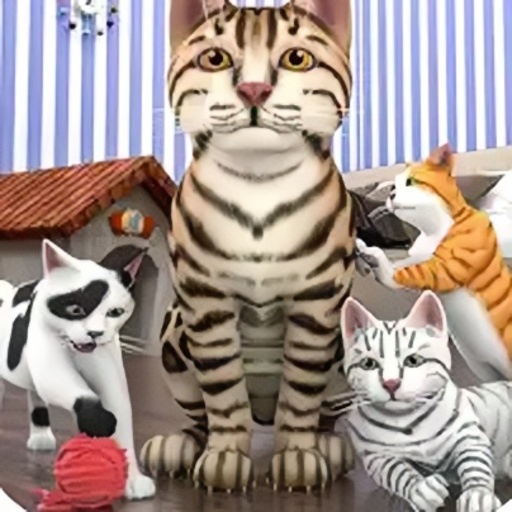 怀孕的小猫3Dsim加速器