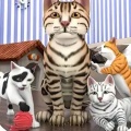 怀孕的小猫3Dsim