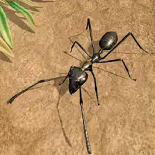 蚂蚁生存模拟器3D