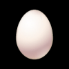 蛋疼的蛋蛋