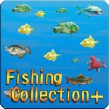 钓鱼收藏 釣魚收藏+加速器