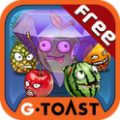 水果珠寶 fruit dash f...