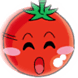 西红柿历险记