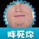 胖死你照相机