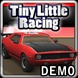 小小的賽車 Tiny Little Racing