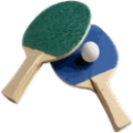 3D乒乓球 Ping Pong 3...