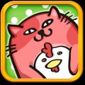 猫咪消除