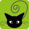 小貓游樂場 Cat Playground