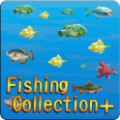 釣魚收藏 釣魚收藏+