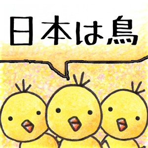 小鸡日本加速器