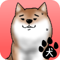 狗狗校園
