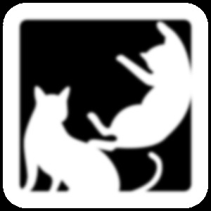 猫猫平衡称重加速器