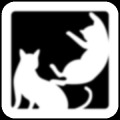 猫猫平衡称重