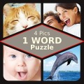 4 图片 1 个字 - guess the word加速器