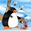 企鹅攻击 Penguin Attack