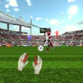 守门员的足球比赛3D加速器