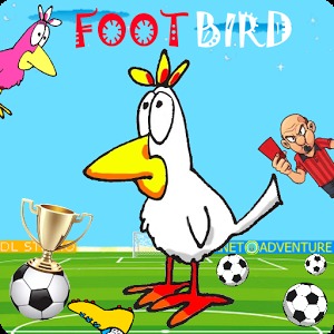 FOOTBIRD精简版加速器