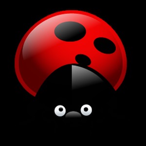 Fly Bug加速器