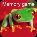 五顏六色的青蛙記憶遊戲加速器