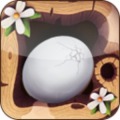 Flying Egg