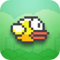 Flappy Bird加速器