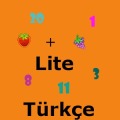 Sayi已經 matematik Turkce