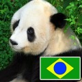 动物用葡萄牙语
