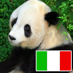 动物用意大利语加速器
