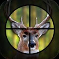 Deer Hunting Simulator: Brave加速器