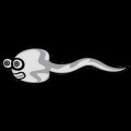 Sperm Project