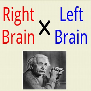 左，右大腦加速器