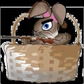 Hero Rabbit