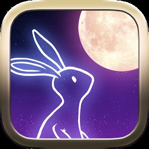 月兔花火加速器