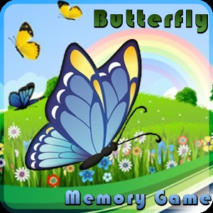 蝴蝶记忆加速器