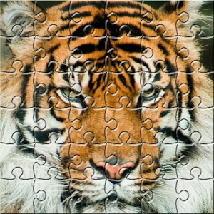 Puzzle Zoo加速器