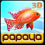 Papaya?Fish?3D加速器