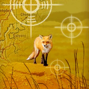 猎狐者加速器