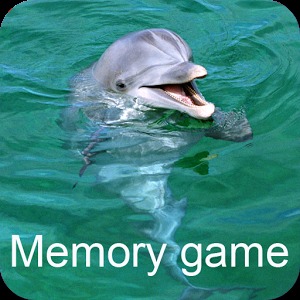 海豚记忆游戏