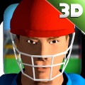 3D模拟板球加速器