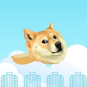Such Flappy Doge加速器