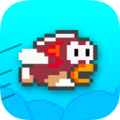Splashy Fish