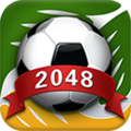2048巴西世界杯版