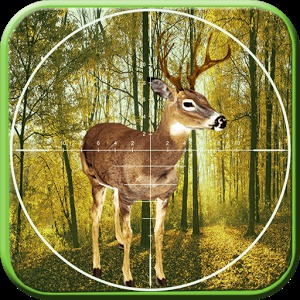 鹿狩猎数码玩具加速器