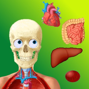 Puzzle Anatomy (didactic game)加速器