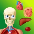 Puzzle Anatomy (didactic game)加速器