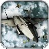 Fighter Planes Battle War