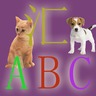 汇ABC-动物世界加速器
