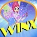 益智winX